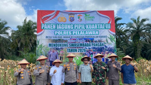 Polres Pelalawan Panen Jagung Pipil 12 Ton di Sialang Indah, Sinergi Wujudkan Swasembada Pangan Kuartal III 2026
