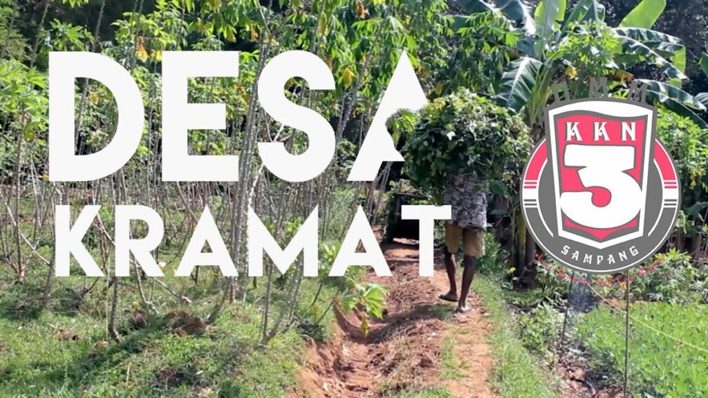 Jasa Buat Website di Kramat